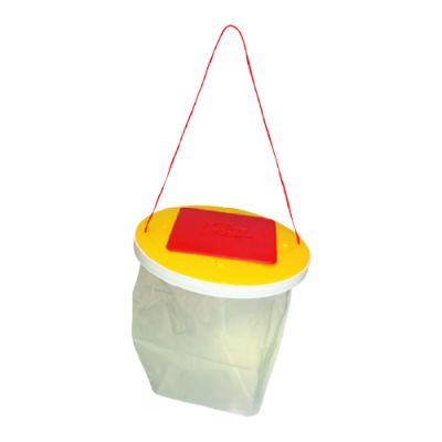 Redtop Fly Catcher