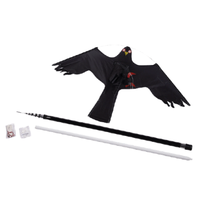 Hawk Kite