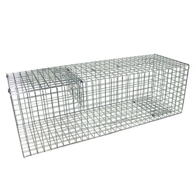 KC75 Rabbit Trap