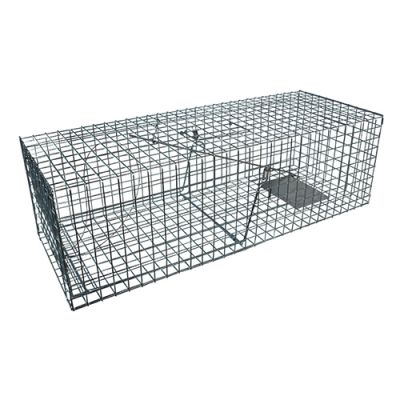 KC76 Cat Trap