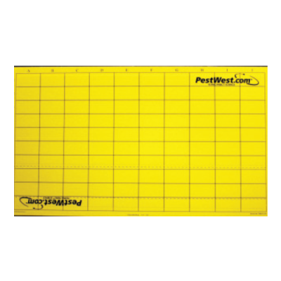 Yellow Chameleon&reg; Monitoring Sticky Boards