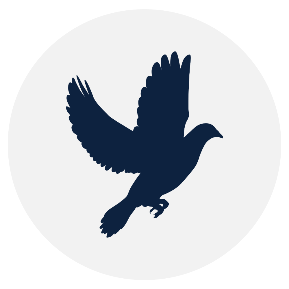bird-control