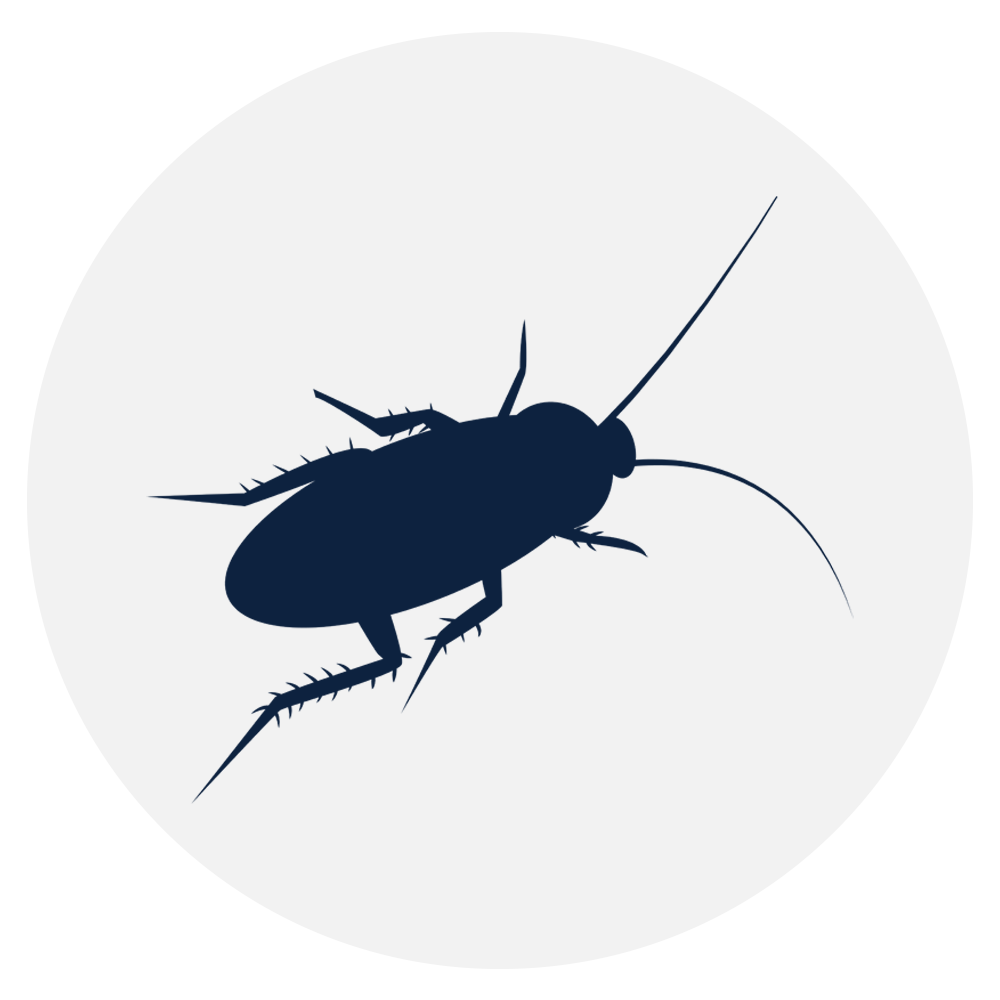 insect-control