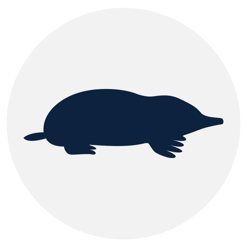 vertebrate-wildlife-control