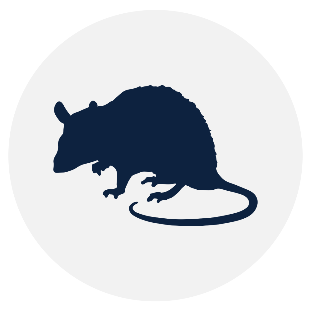 rodent-control